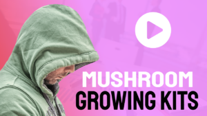 how to grow mushrooms